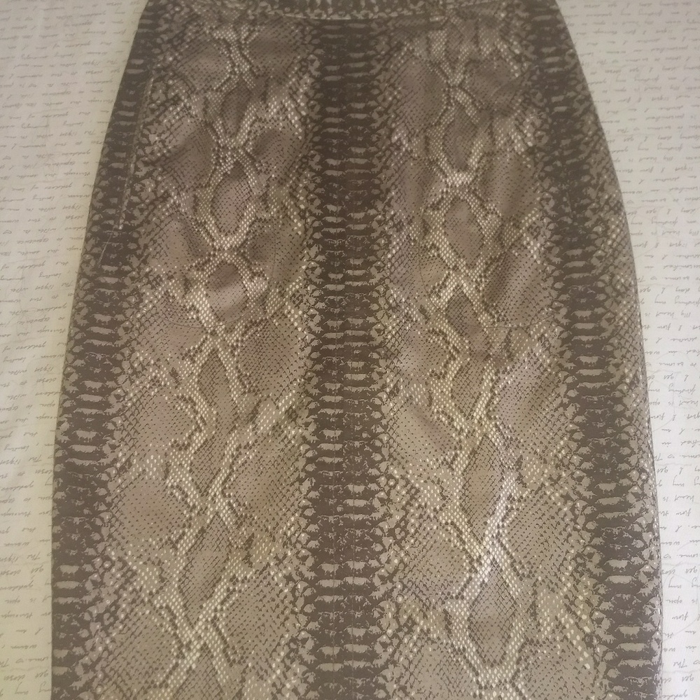 Tracy Reese skirt